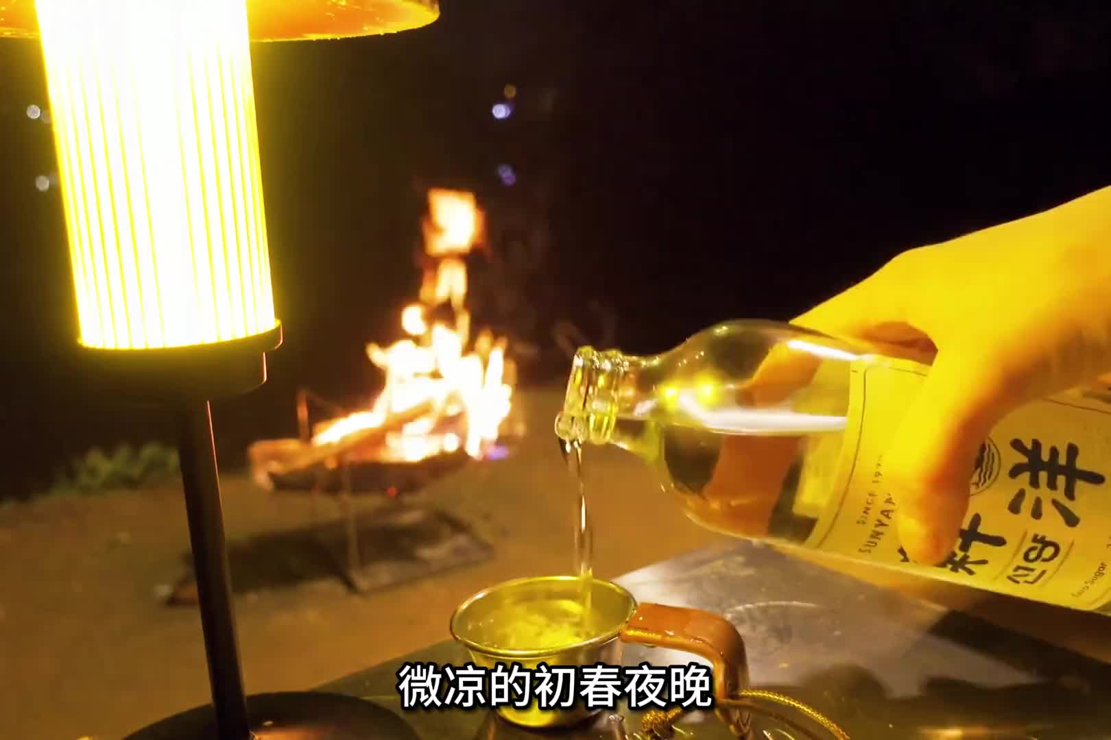 第2集：女孩独自带狗到户外露营，在湖边搭建营地，解压的房车生活