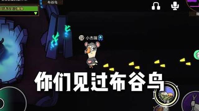 布谷鸟下蛋超简单！30个蛋轻松赢！