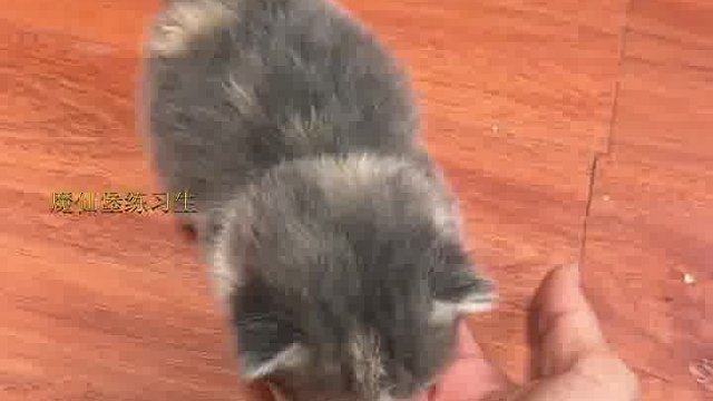 怎么这么胖？？