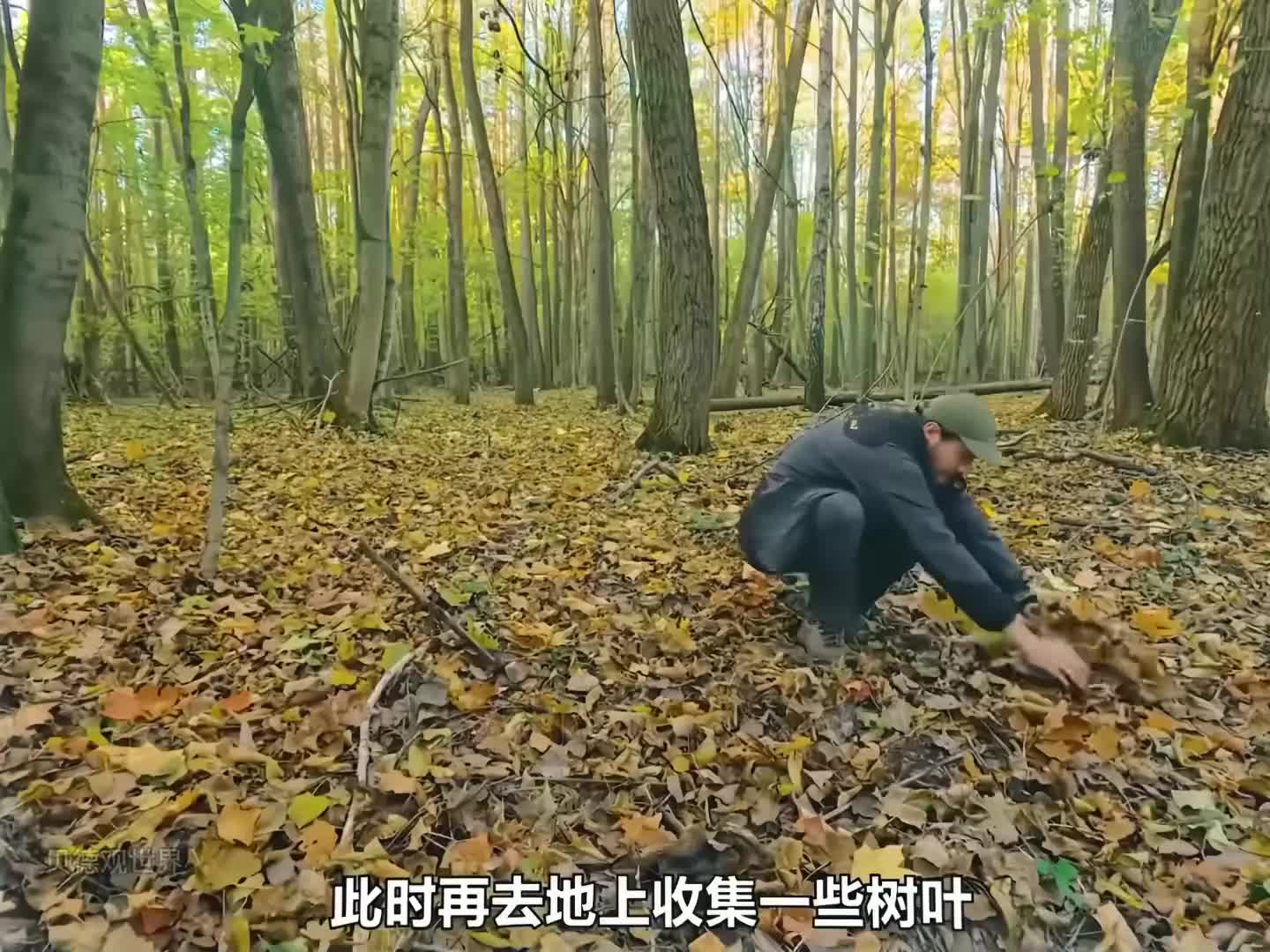 这种环境你们喜欢吗 (3)