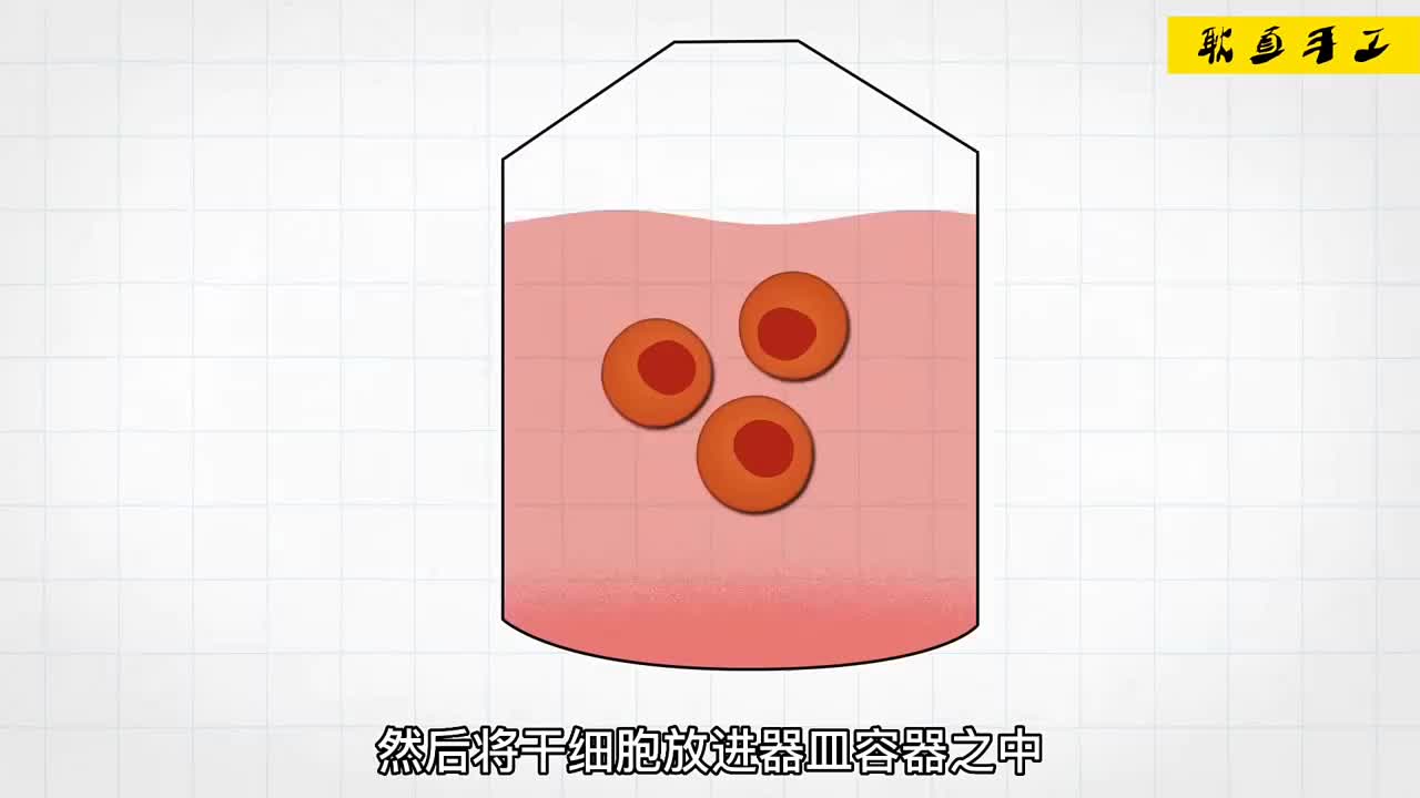 利用3D打印机竟然能生产人造牛肉，满满的科技与狠活