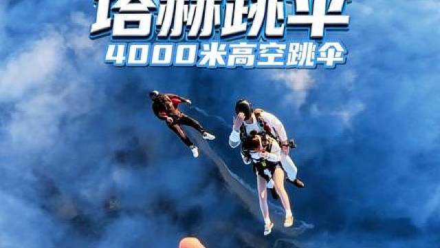 总要放纵一次自己狂跳的脉搏吧