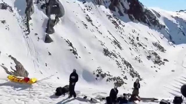 这么精彩的世界 你何必单恋一枝花