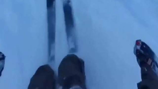 风景在倒退，自由在拉近