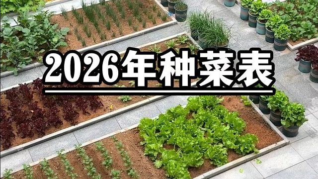 2026全年种菜时间表来啦，赶紧收藏起来吧
