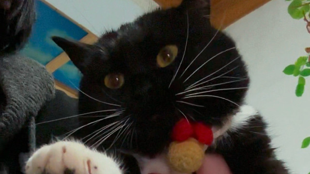 肿么那么可爱！！！