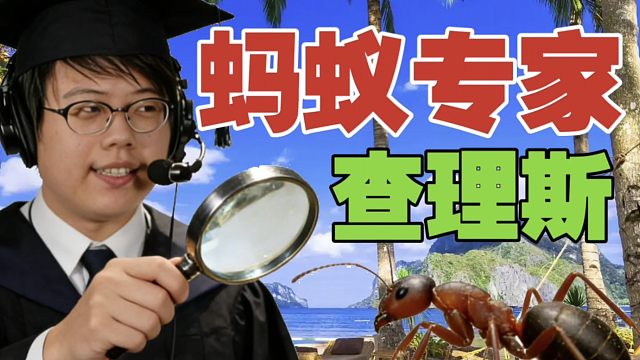 《查理斯蚂蚁论》:为什么蚂蚁寿命不一样？