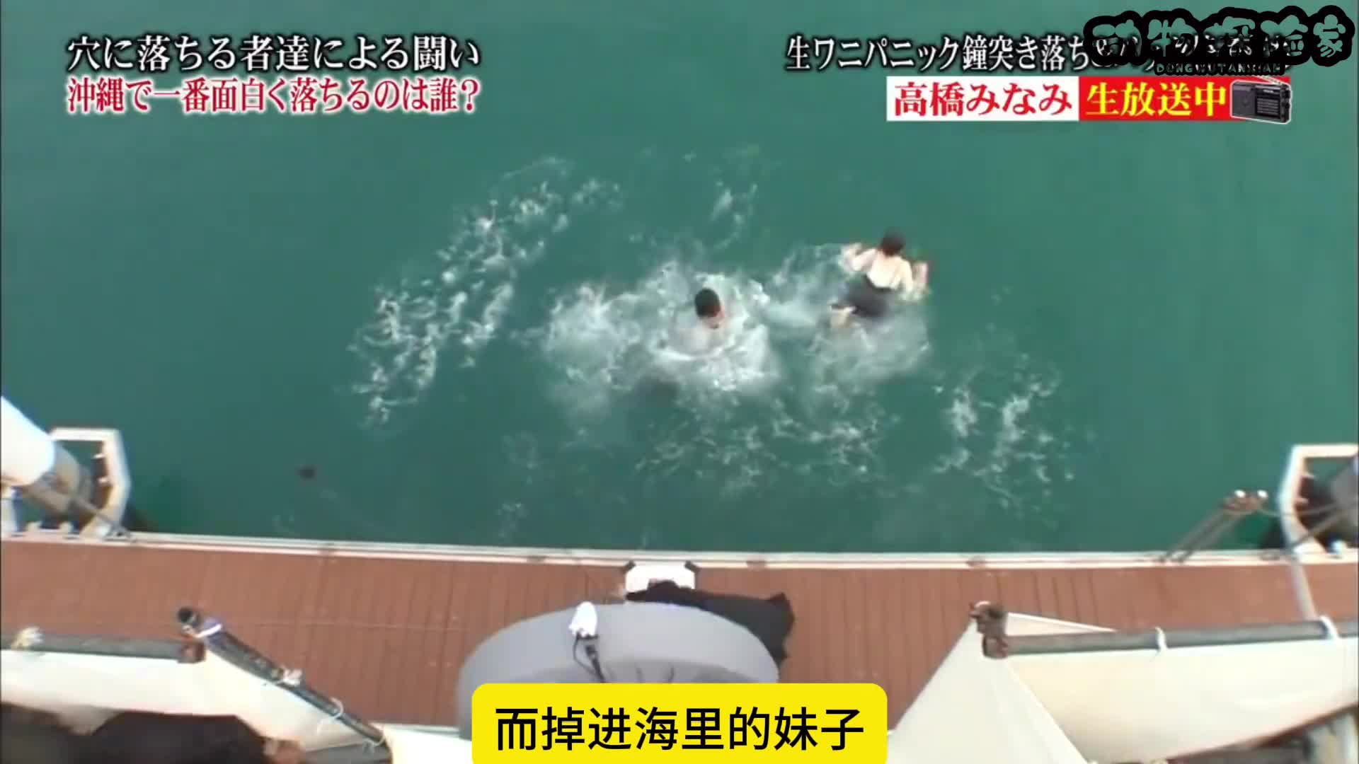 只是自顾自的在看自己要说的台词