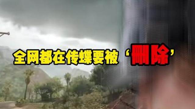 全网都在等蝶“删除”，却没发现她早已死在了2030年！