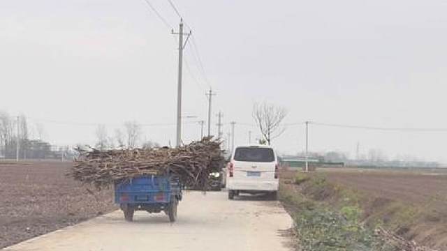 后边的催，前面的来？