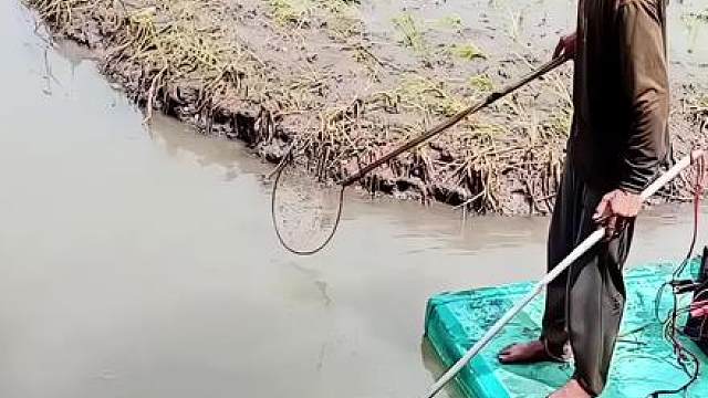 越南户外捕鱼摸虾，靠河吃河的真实生活