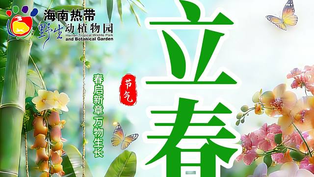 【立春】立春至，春信来