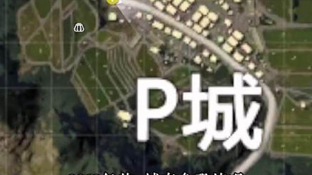 曾经的P城权威到什么地步？