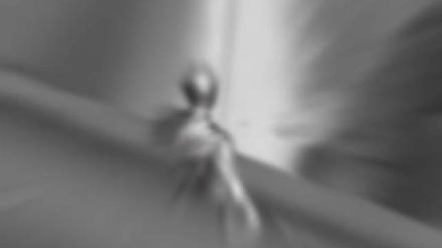 在绿洲启元有被暖到大赏