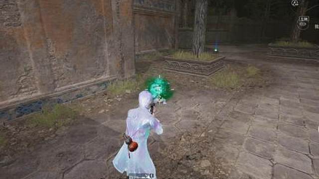 蝾螈小宝“黏人”的秘密，这么可爱一定没威胁！