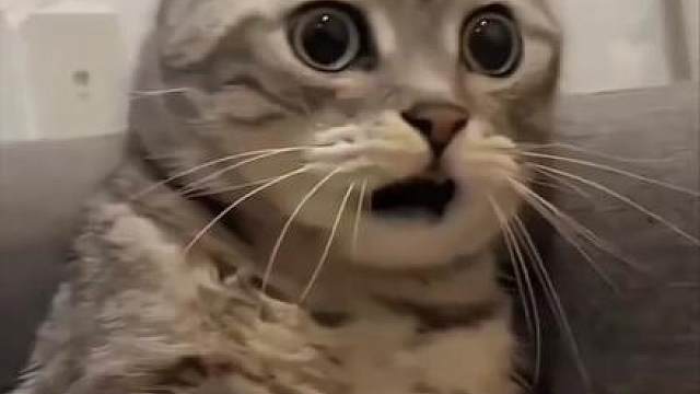 四小红在训练室失望的看着诺队