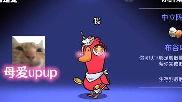 我只是一个单亲母亲，我连自保都做不到，怎么可能去伤害别人