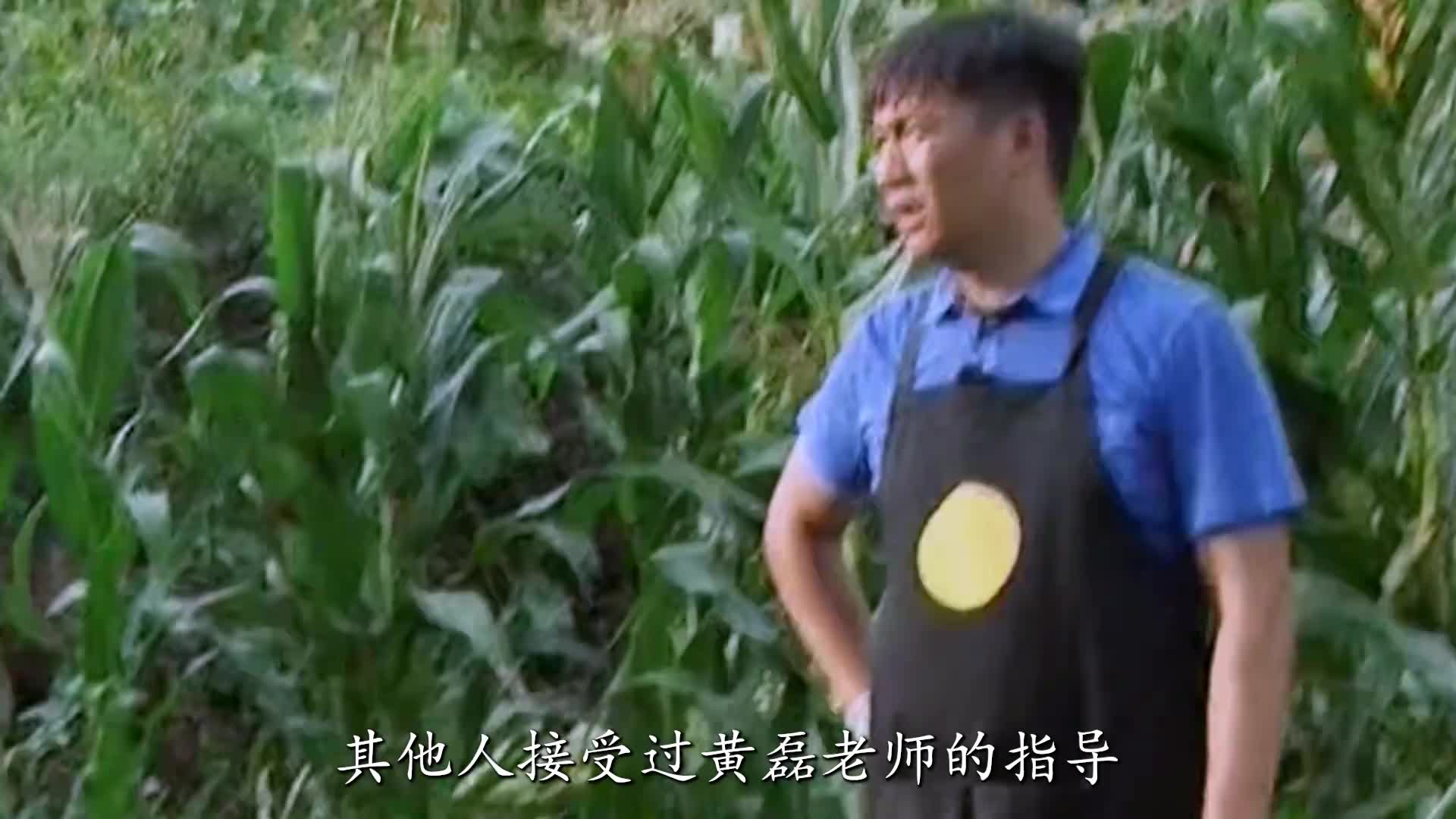 陈赫再次被坑掰玉米，何炅终于学到黄磊老师经验