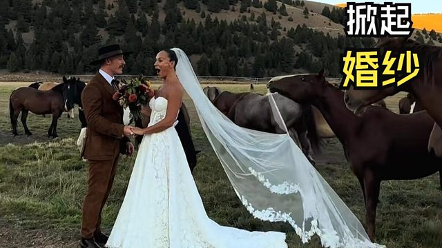 那些让人惊叹的动物视频！