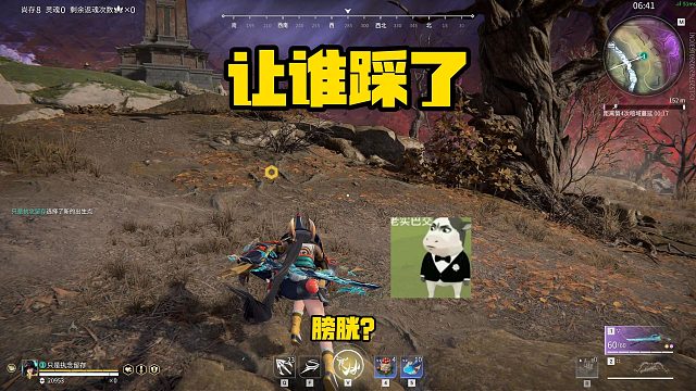 2月4日 谁踩着你了？