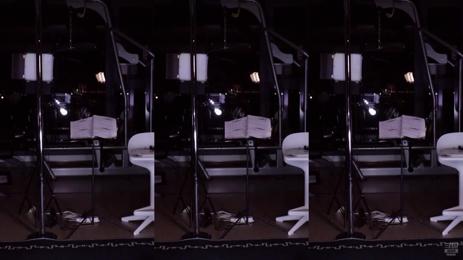 翁馨-20241207-bloodshot