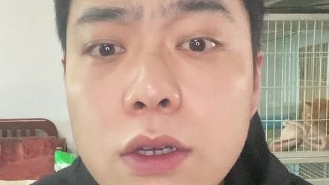 这可能是最适合鼠鼠的双生螺旋逃课技巧