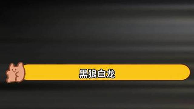 双子星已成过去式 接下来登场的是 黑白双煞！