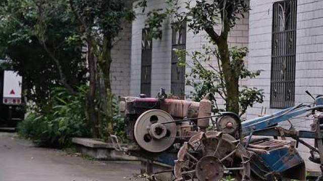 优雅于心，无畏于行