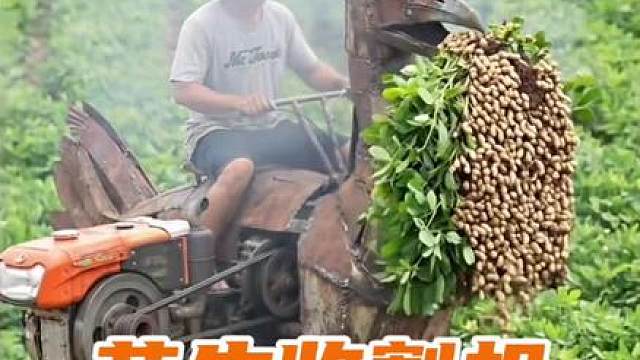 国外的老哥用一堆废铁，研发了一款花生收割机
