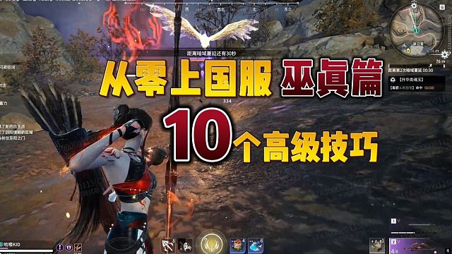 《巫真从零上国服》10个高级技巧