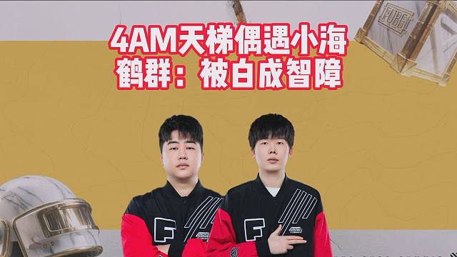 4AM天梯偶遇小海，鹤群：被白成智障
