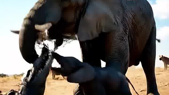 每一次拒绝不当消费，都是对生命的尊重