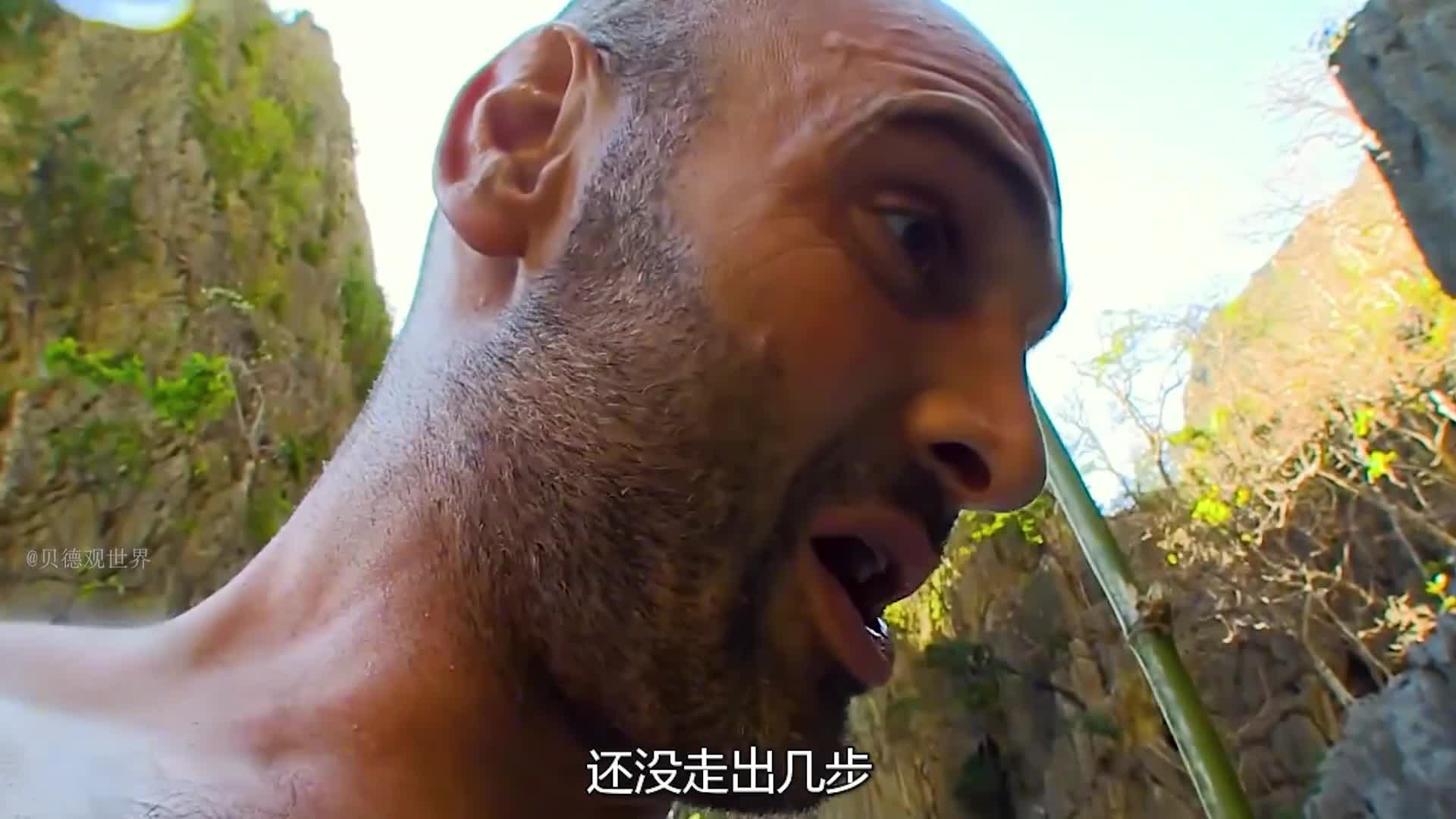 德爷菲律宾荒野求生