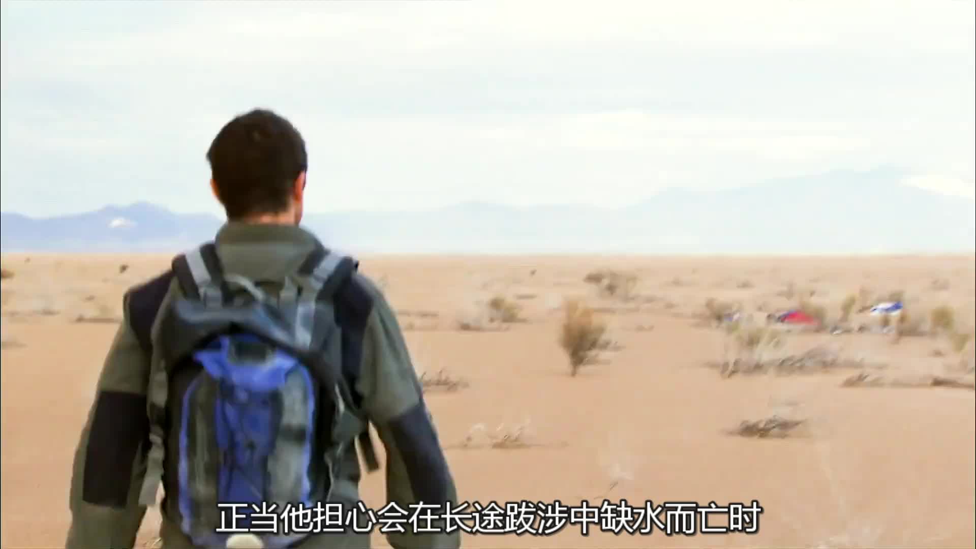 贝爷沙漠求生，逮野猪，自制风车赶路