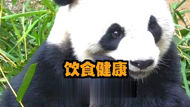 不好好吃饭会弄坏身体的哦