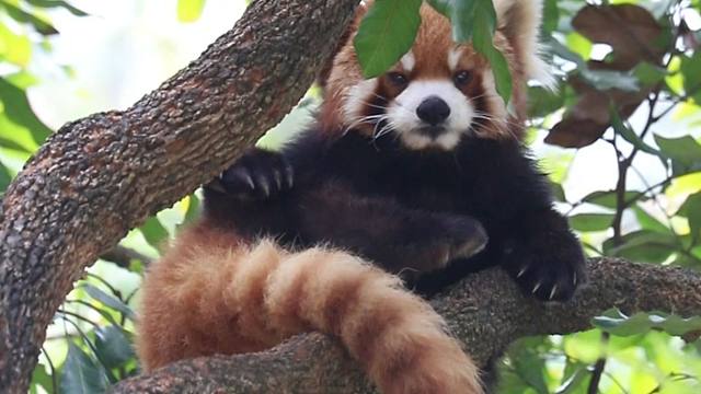 不知道，我的身材很曼妙