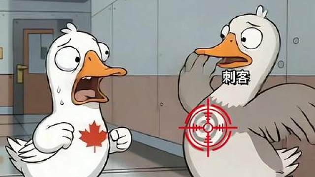 疑似刺客临死前最后的幻想