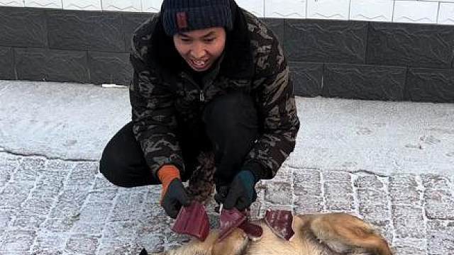 危险时刻幸亏有狗子