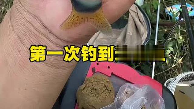 第一次钓到这种鱼