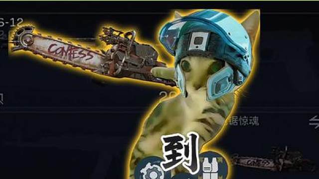 爱导的盾，到！