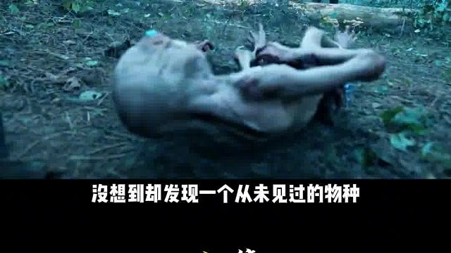 这到底是什么东西