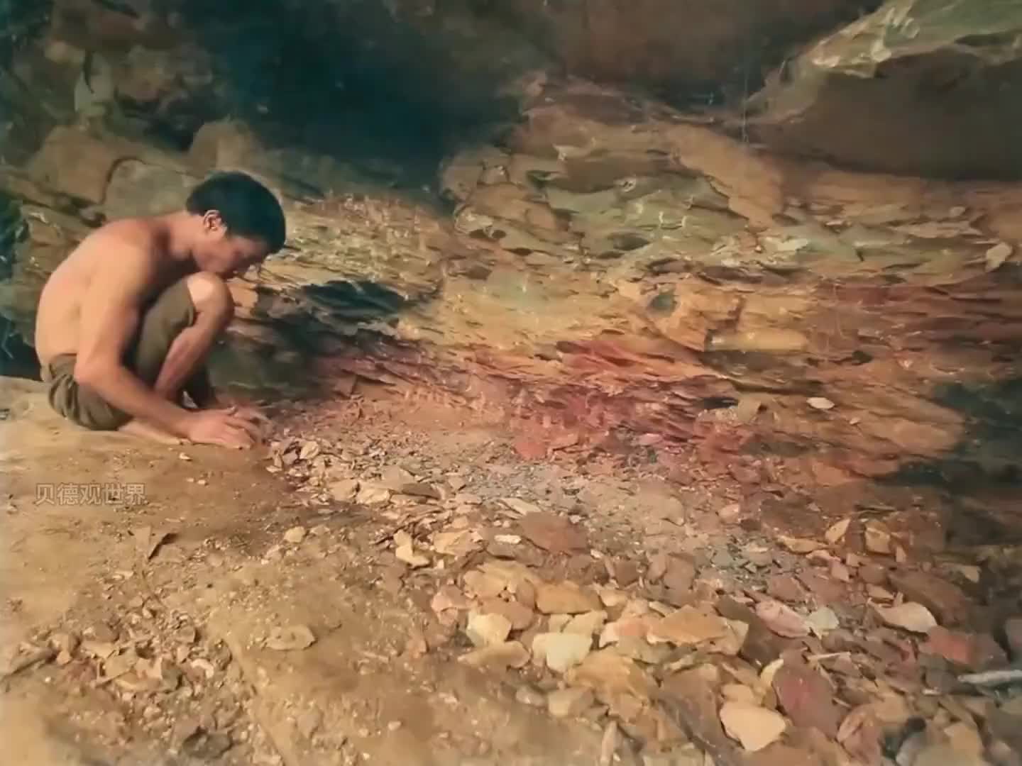 男人徒手打造各种铁器，并盖了个庇护所 (2)