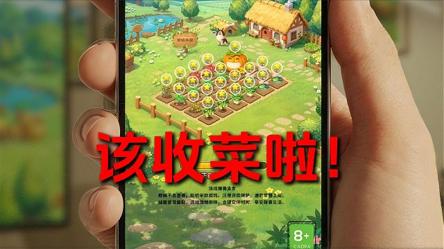 特遣队员该回来收菜啦！