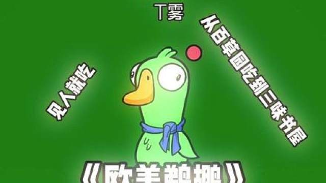 《欧美鹈鹕》