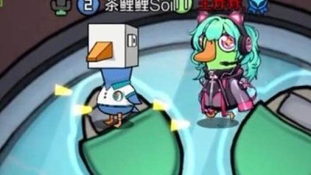 王炸炸的养鲤日记