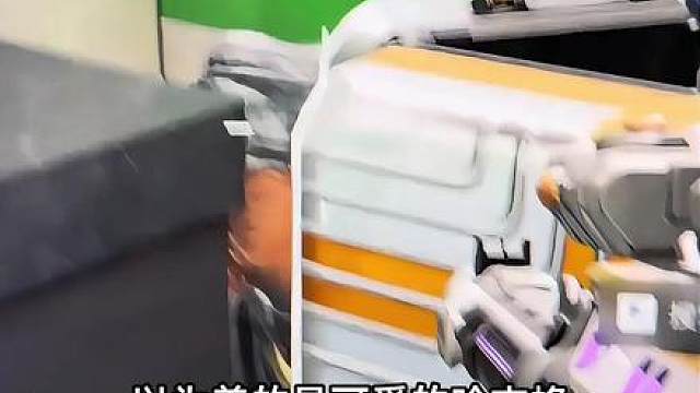 哈吉蜂飞起来了，原来是只虎头蜂