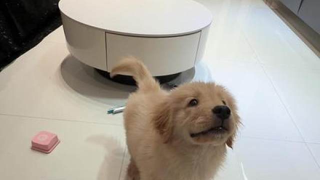 这么坑的捷风，怪不得贤者不和他玩了