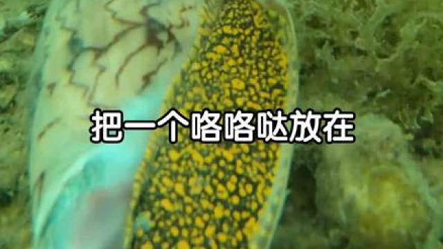 敌人的敌人还是敌人