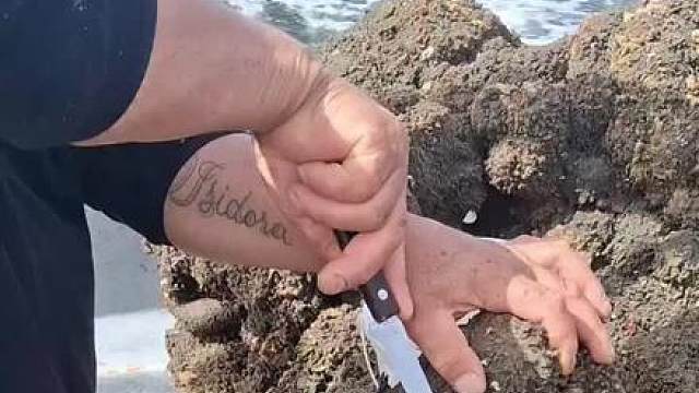 这是啥好吃的，有没有认识的