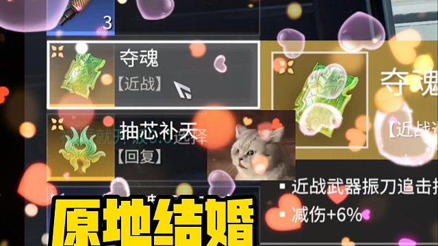 2月7日 今天就是我跟这个绿堆的结婚纪念日了